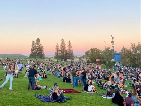 Summer Concert Series