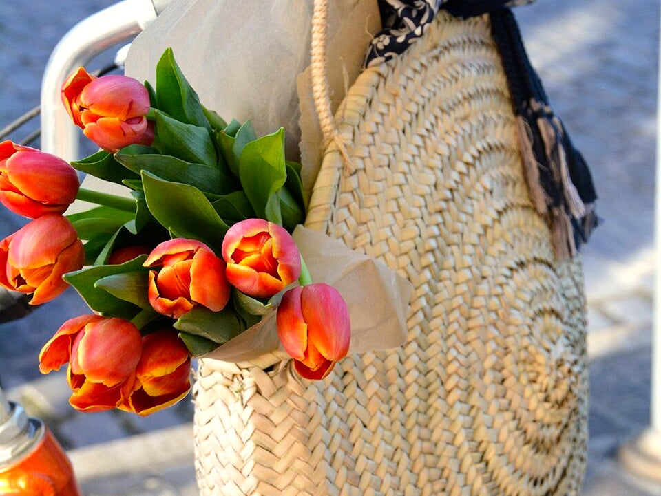 Packing Tips for Your Next Escape!